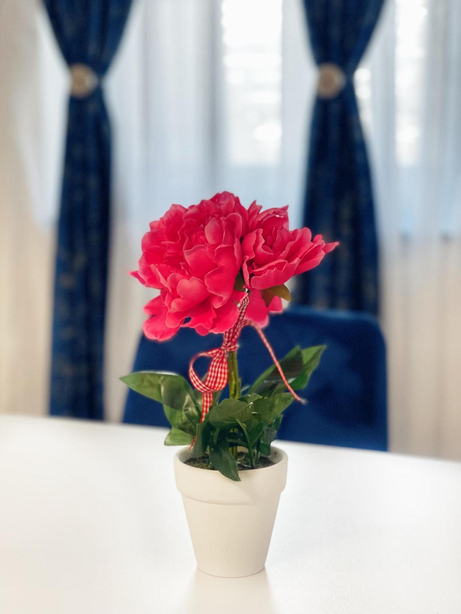 Rv Premium Apartments Арад Екстериор снимка